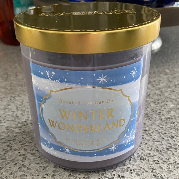 2023 Limited Edition Opalhouse Winter Wonderland 15.1 oz. Target candle New - Picture 1 of 4